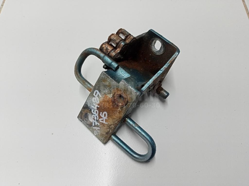 Петля двери передней левой нижняя