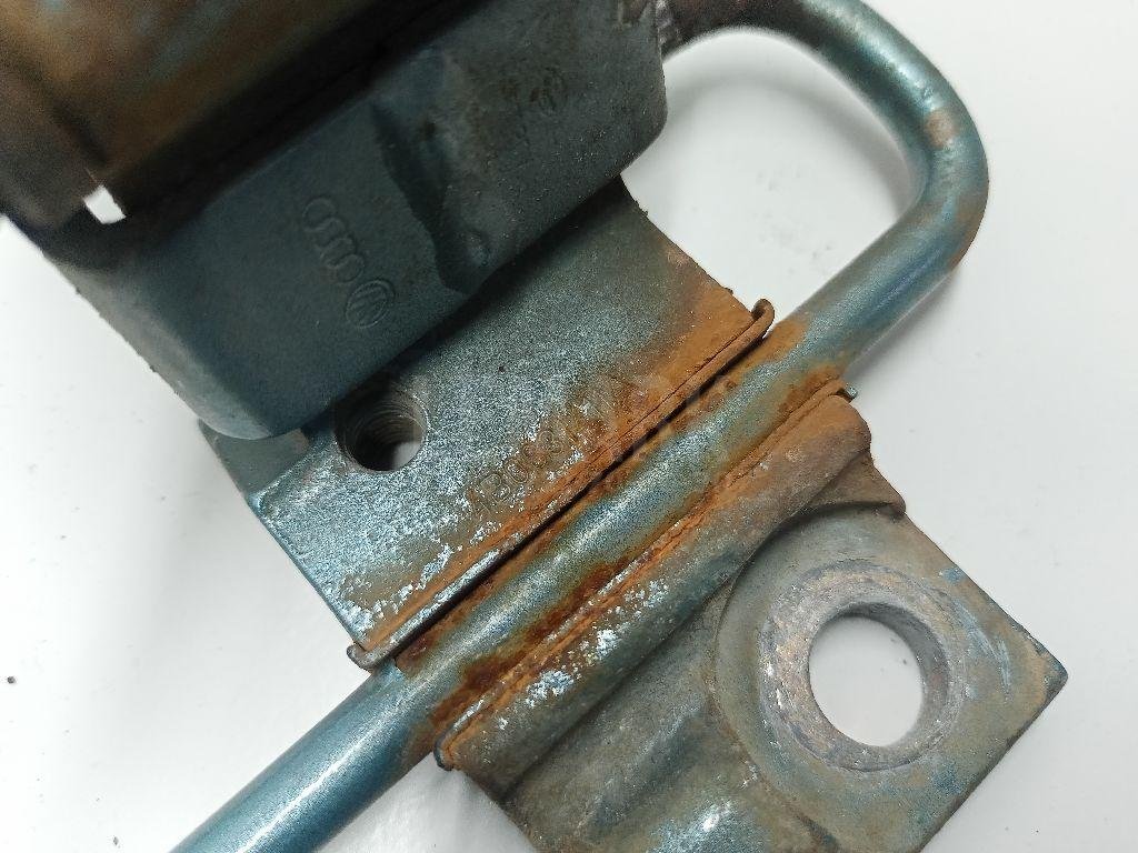 Петля двери передней левой нижняя