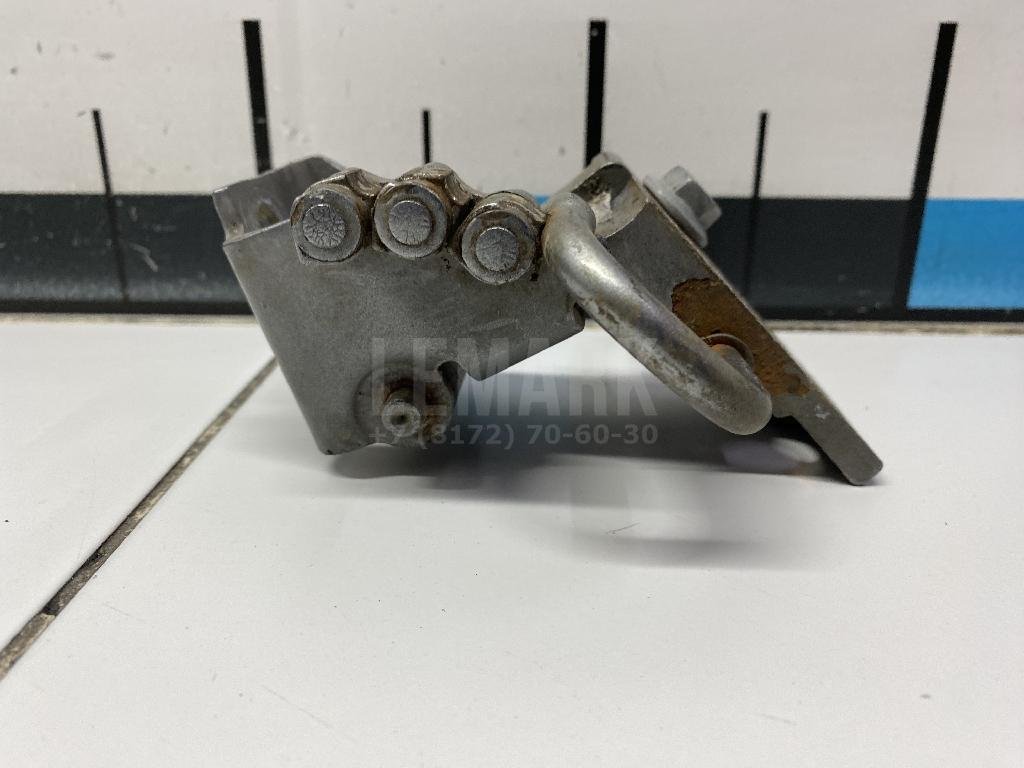 Петля двери передней левой нижняя