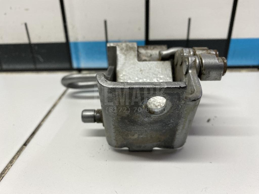 Петля двери передней левой нижняя