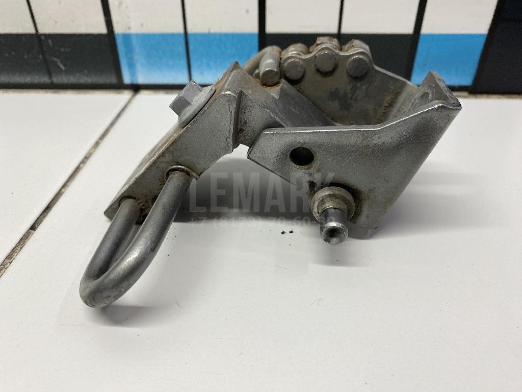 Петля двери передней левой нижняя