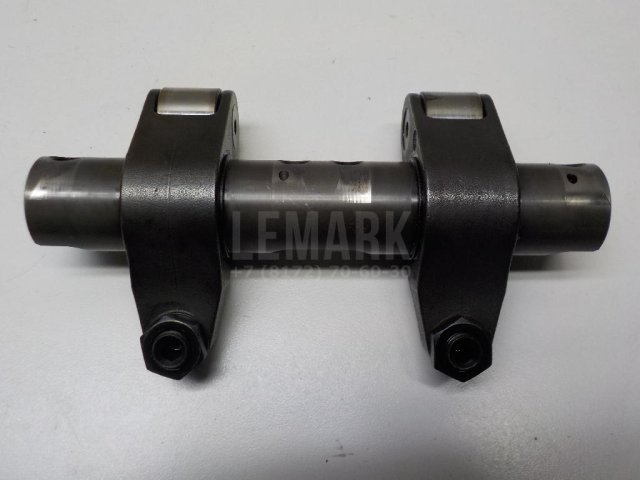 Ось коромысел