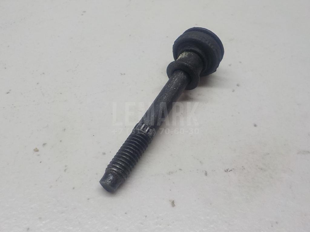 Болт клапанной крышки