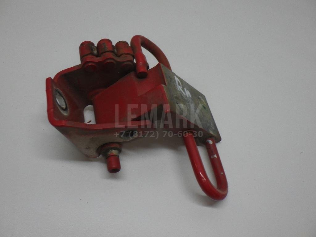 Петля двери передней правой нижняя