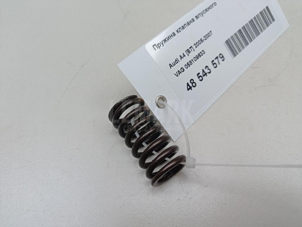 Пружина клапана впускного