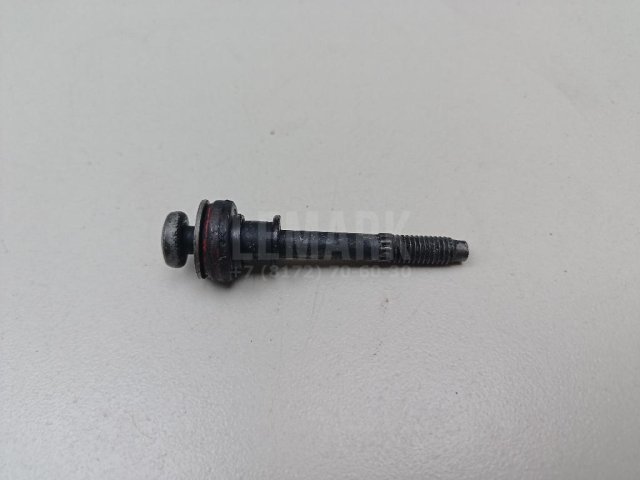 Болт клапанной крышки