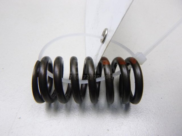 Пружина клапана впускного