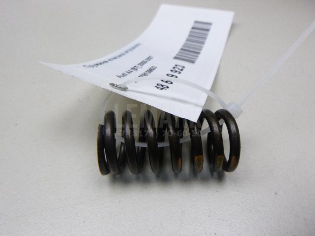 Пружина клапана впускного