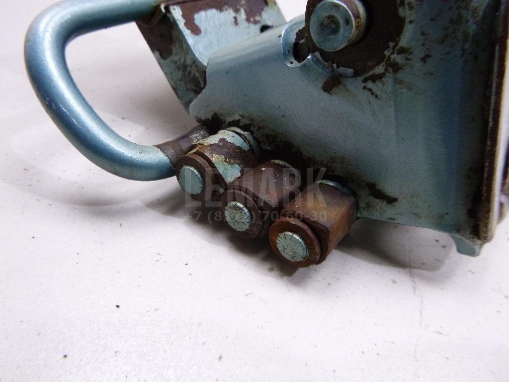 Петля двери передней левой нижняя