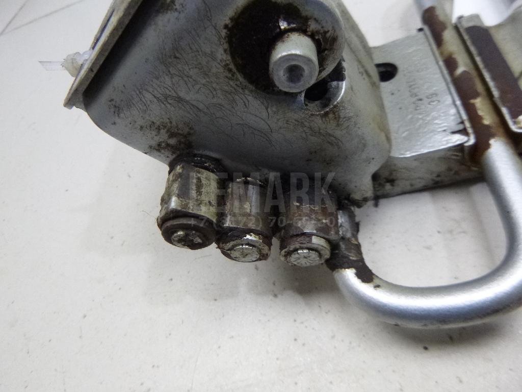 Петля двери передней правой нижняя