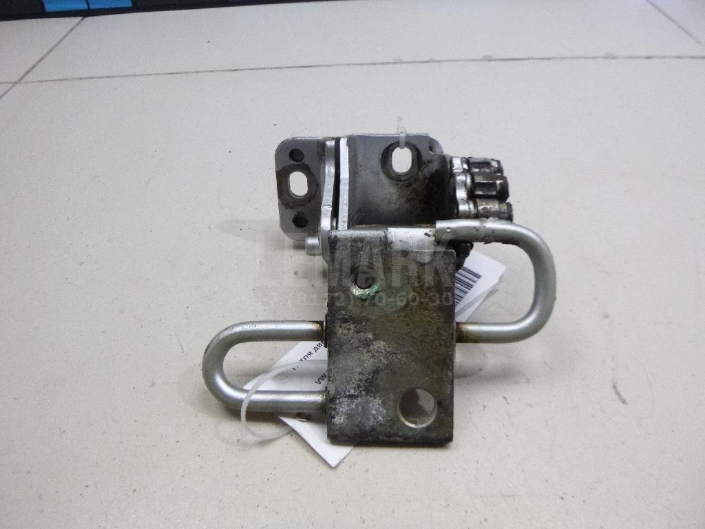 Петля двери передней правой нижняя