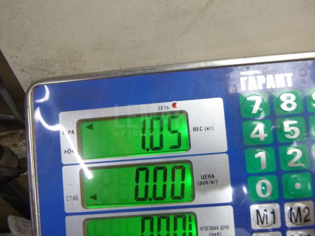 Петля двери передней правой нижняя