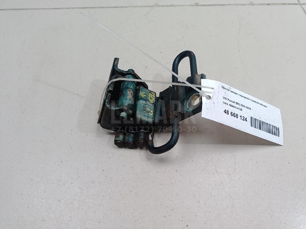 Петля двери передней правой нижняя