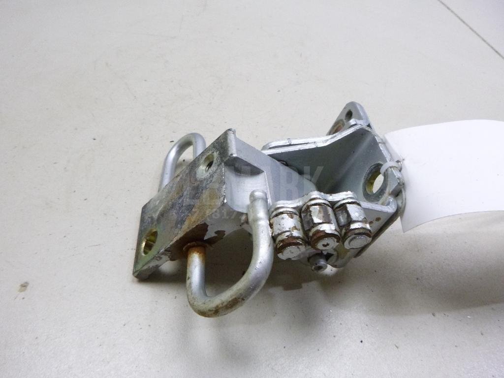 Петля двери передней правой нижняя