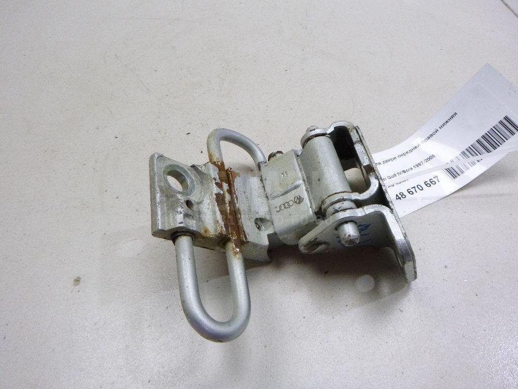 Петля двери передней правой нижняя