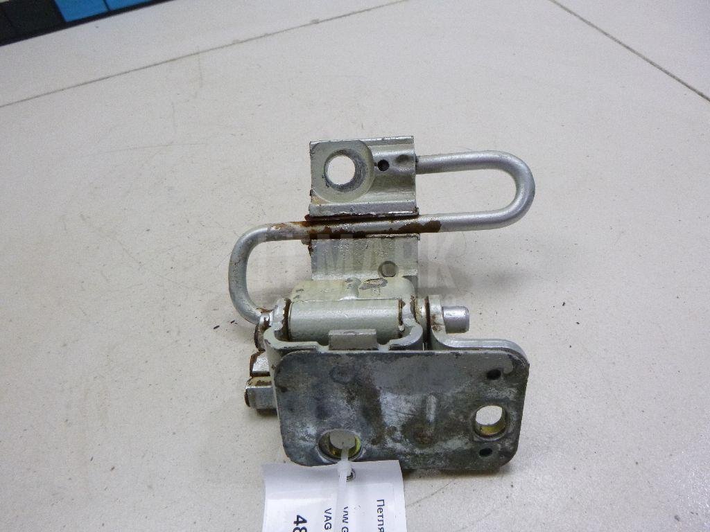 Петля двери передней левой нижняя