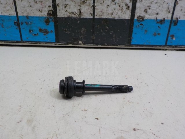 Болт клапанной крышки