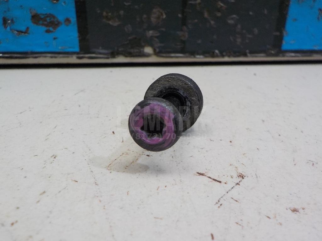 Болт клапанной крышки