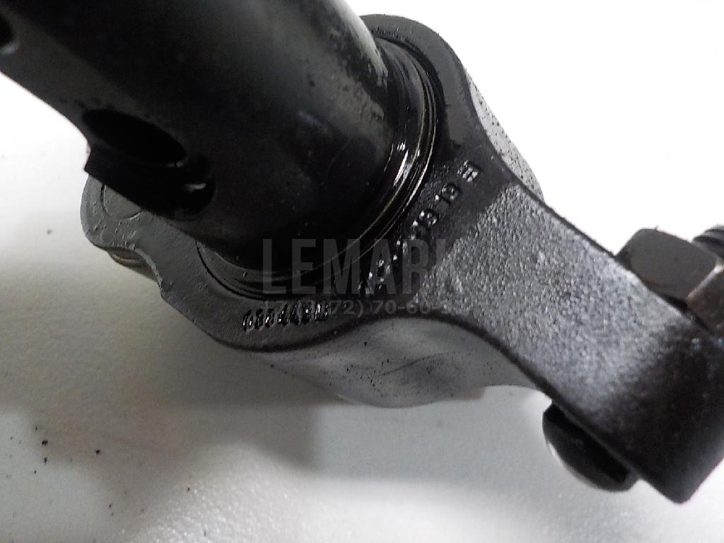 Ось коромысел