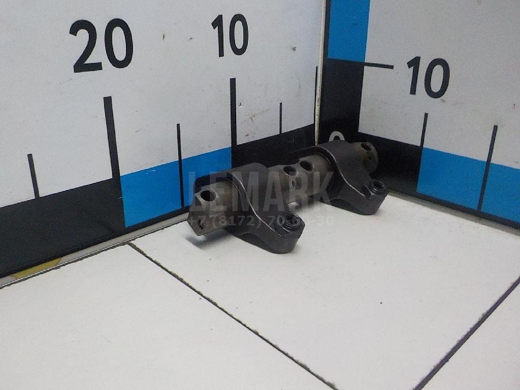 Ось коромысел