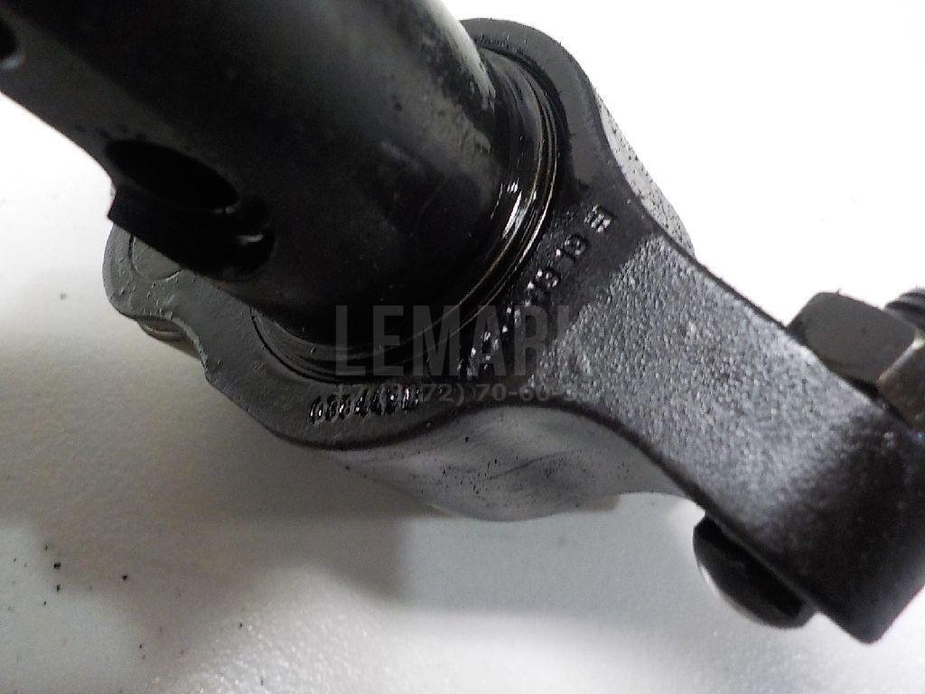 Ось коромысел