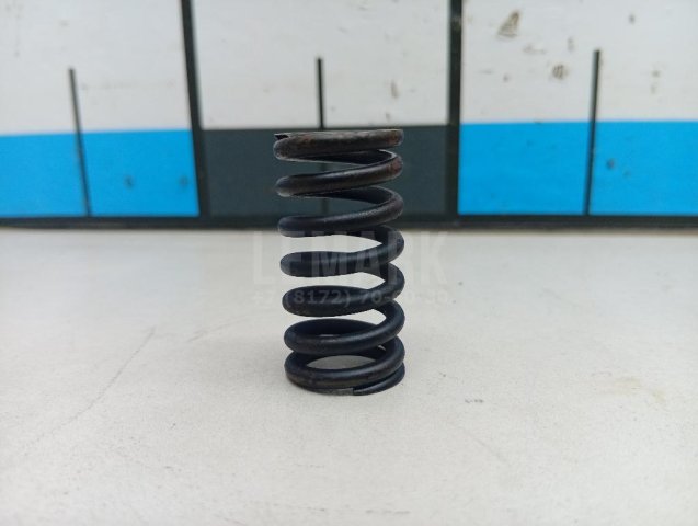 Пружина клапана впускного