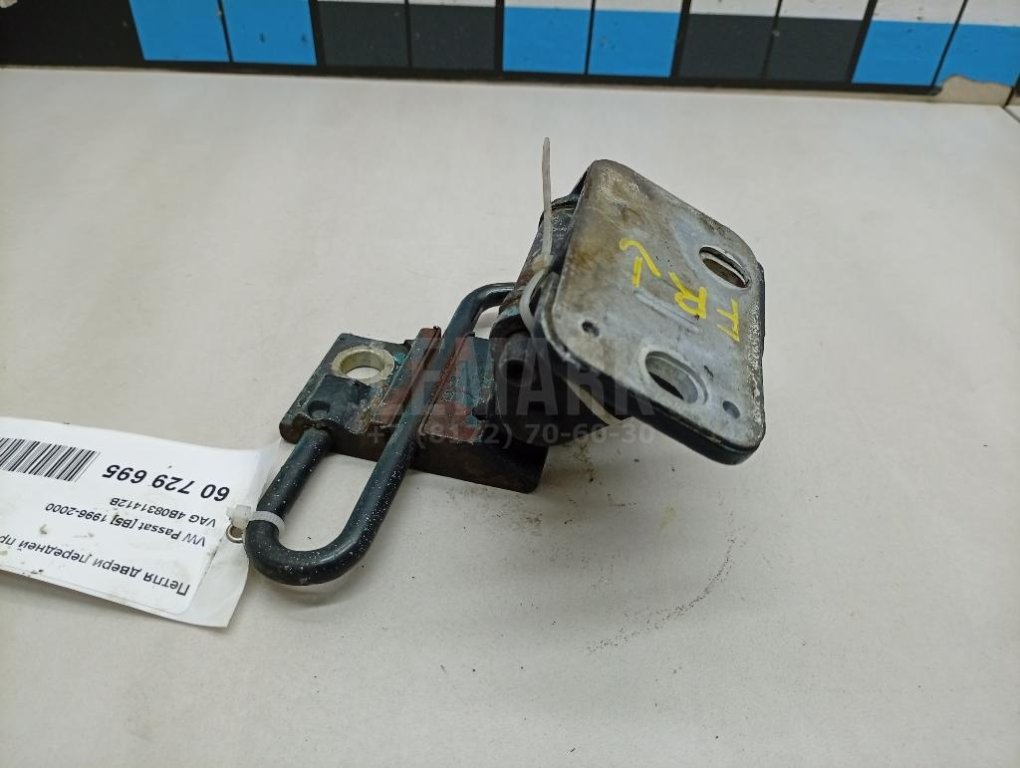 Петля двери передней правой нижняя