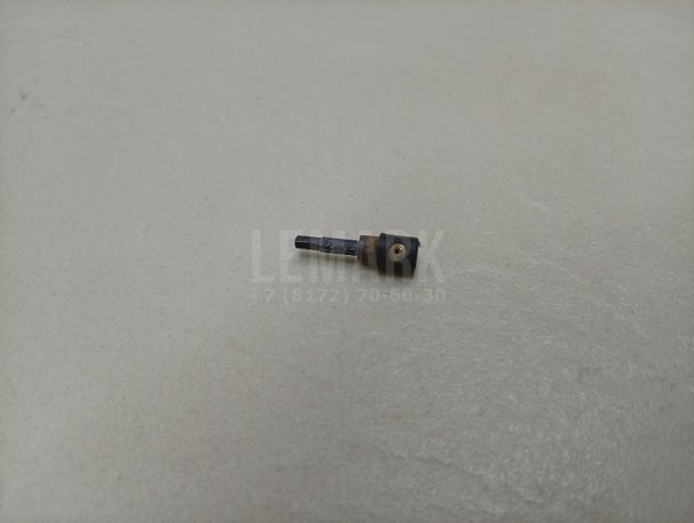 Форсунка омывателя зад стекла