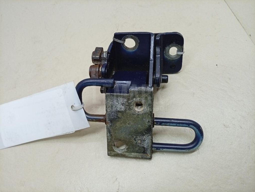 Петля двери передней левой нижняя