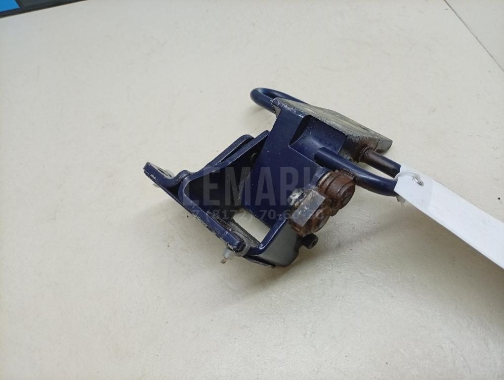 Петля двери передней левой нижняя