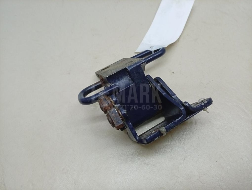 Петля двери передней правой нижняя