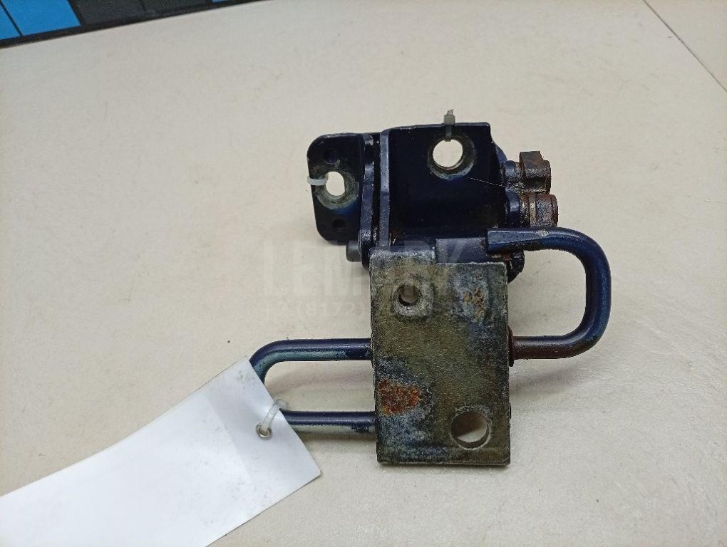 Петля двери передней правой нижняя