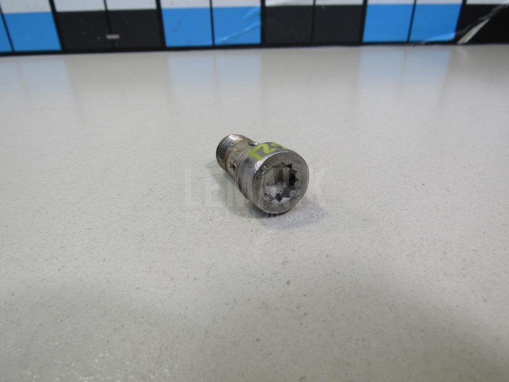 Болт турбокомпрессора (турбины)