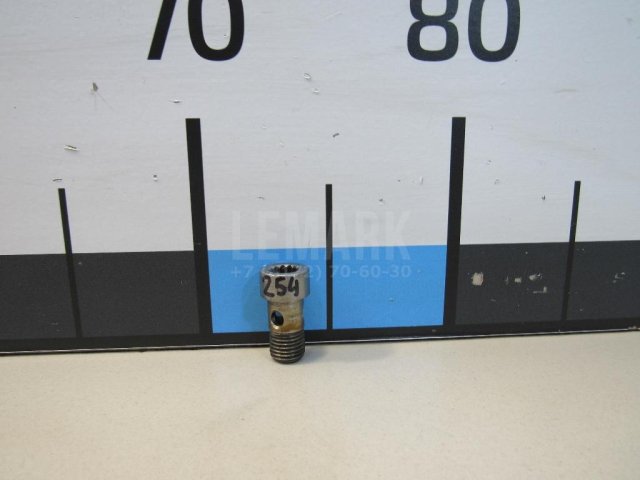 Болт турбокомпрессора (турбины)