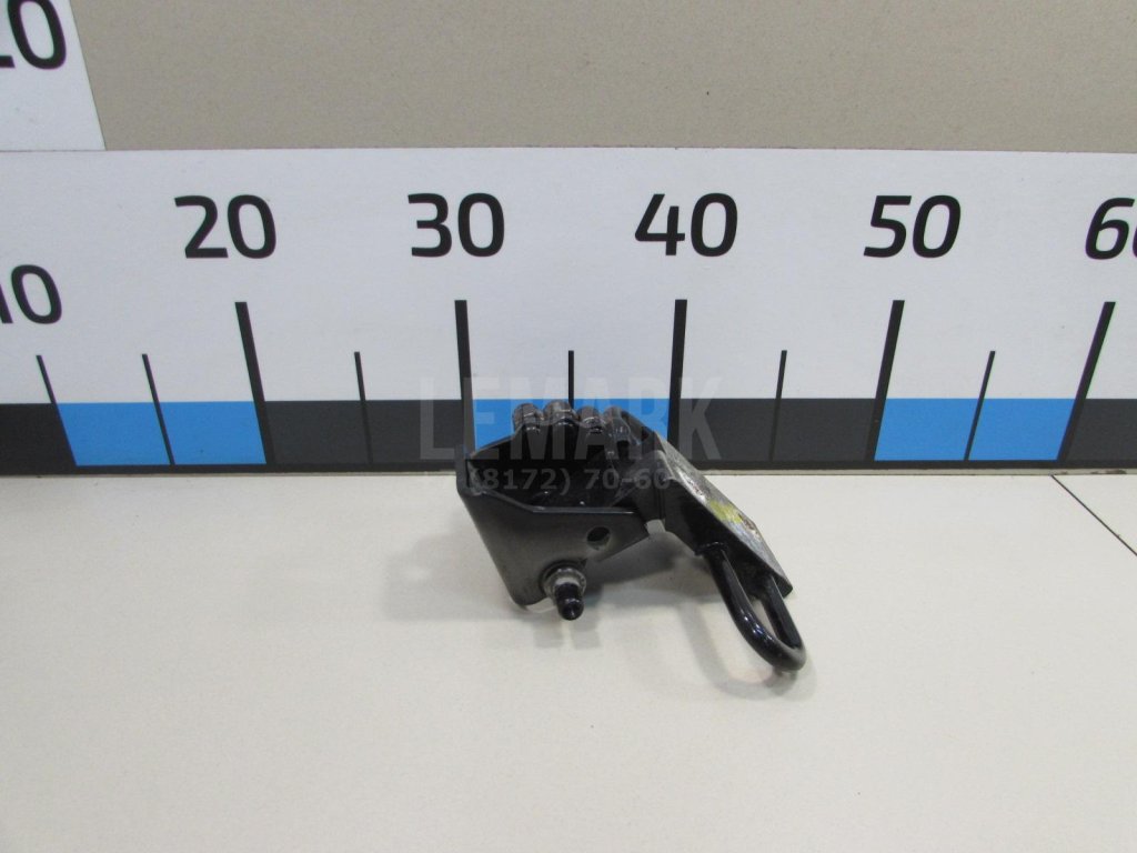 Петля двери передней правой нижняя