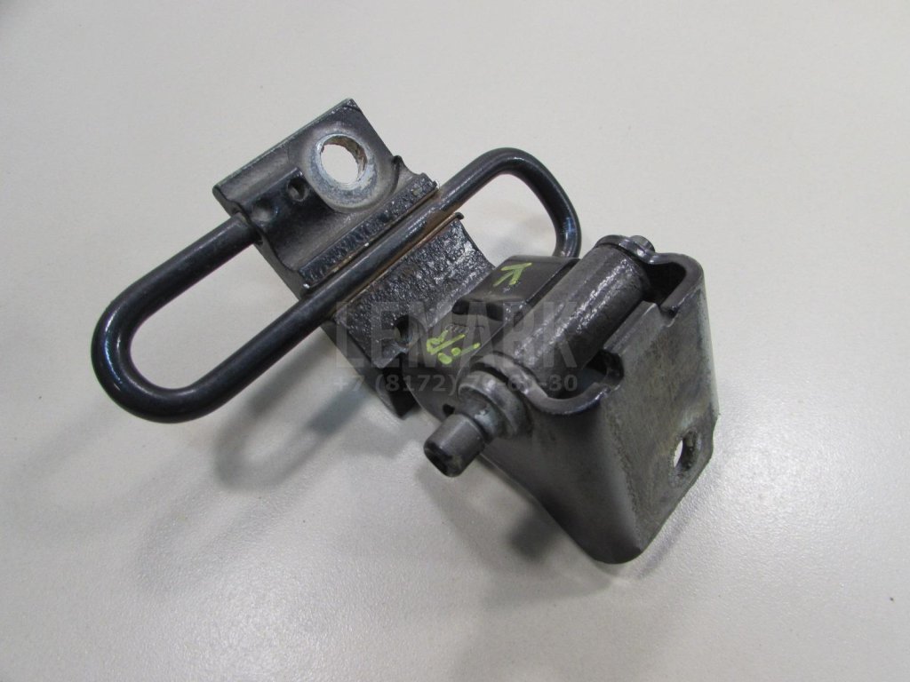 Петля двери передней правой нижняя