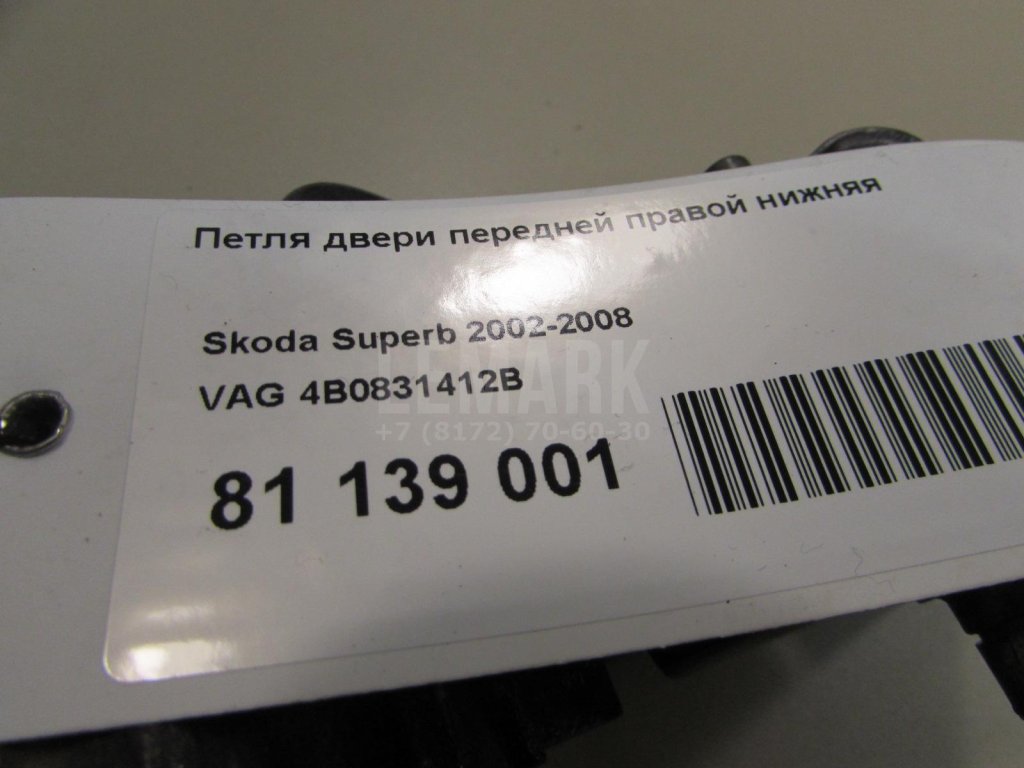 Петля двери передней правой нижняя