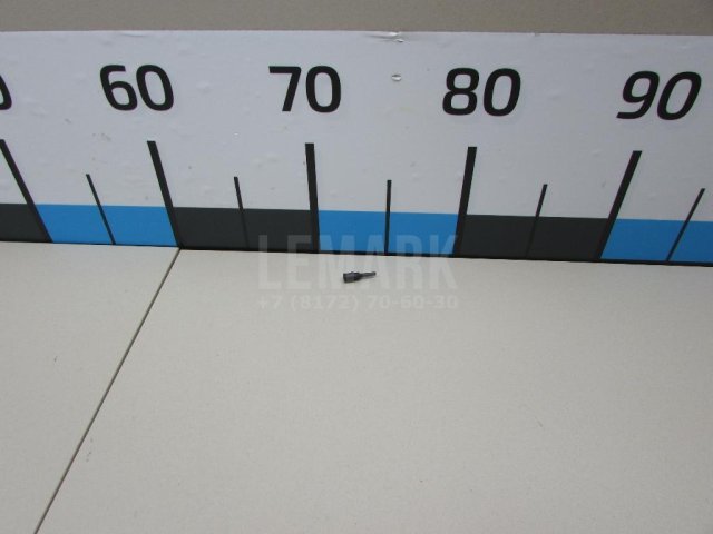 Форсунка омывателя зад стекла