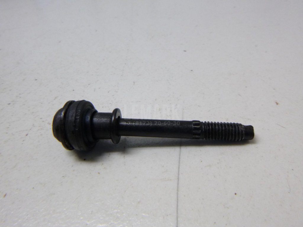 Болт клапанной крышки