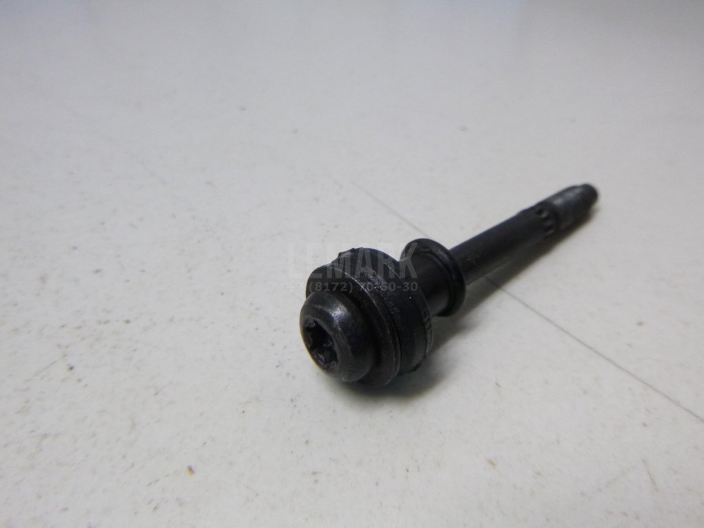 Болт клапанной крышки