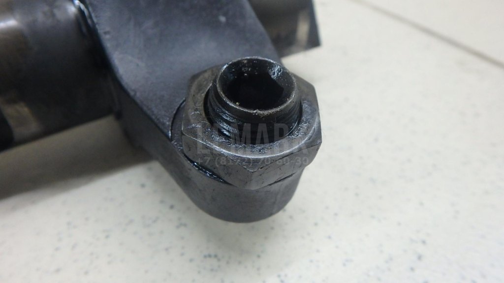 Ось коромысел