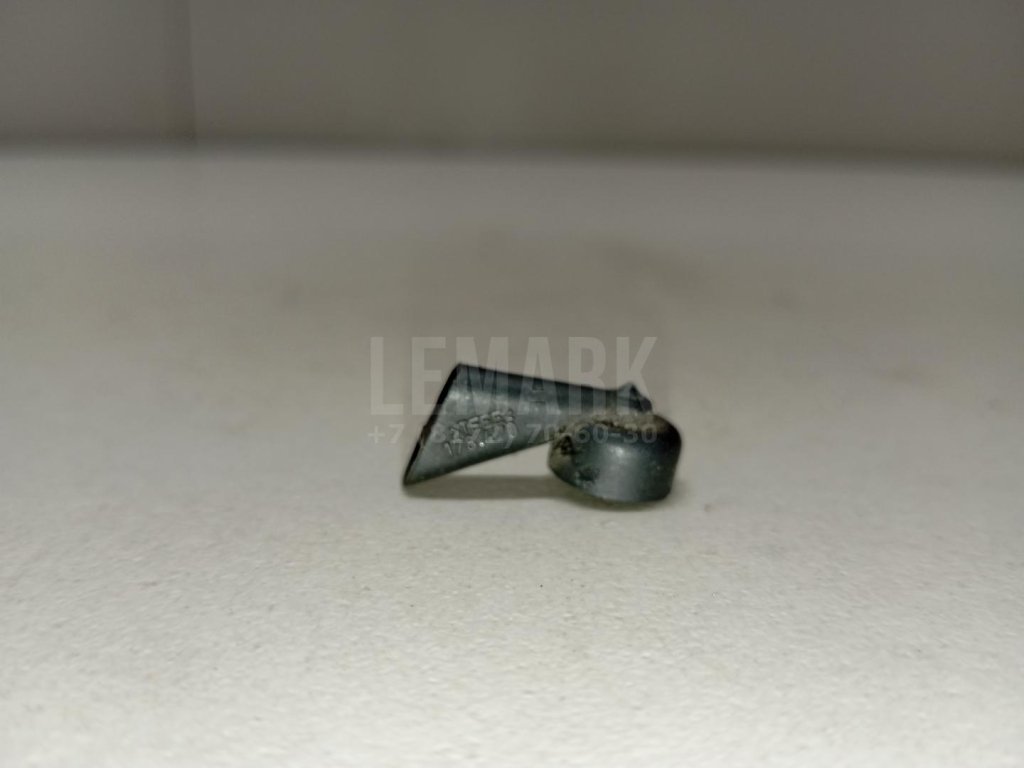 Форсунка омывателя зад стекла