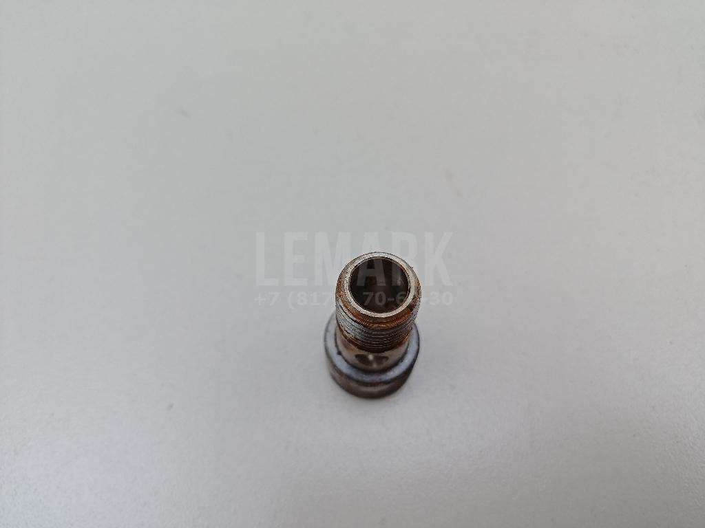 Болт турбокомпрессора (турбины)