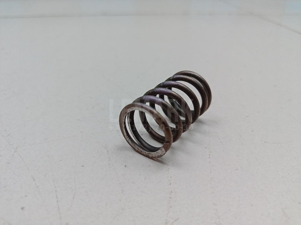 Пружина клапана