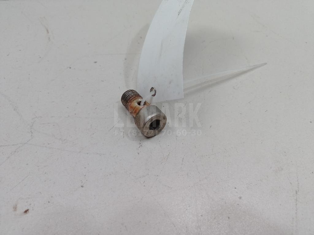 Болт турбокомпрессора (турбины)