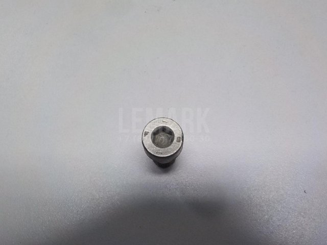 Болт турбокомпрессора (турбины)