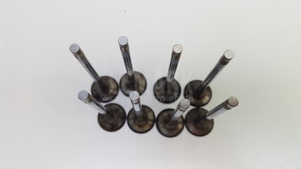 Клапан выпускной