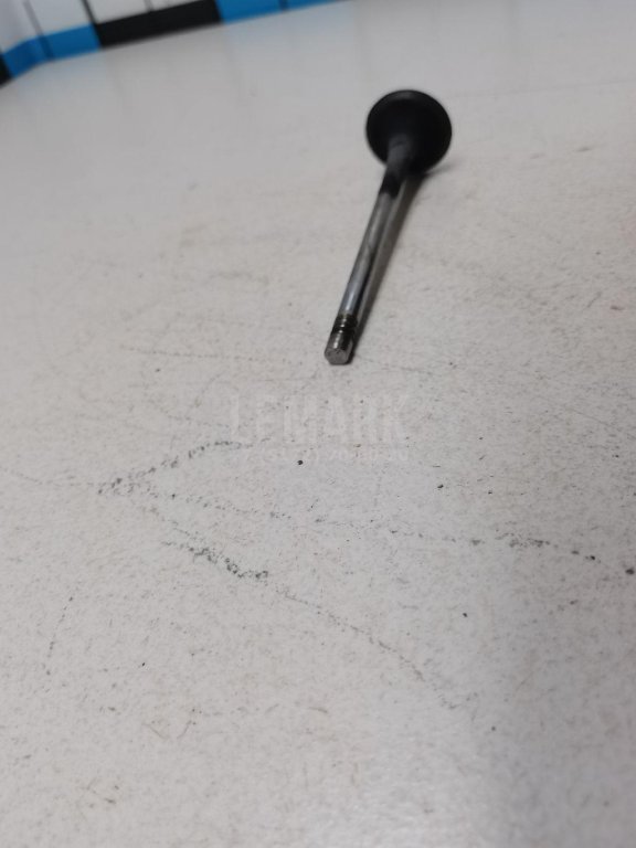 Клапан выпускной