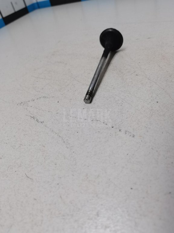 Клапан выпускной