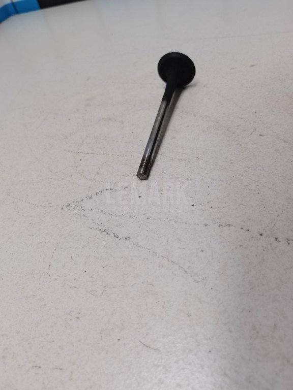 Клапан выпускной